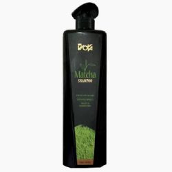 שמפו ללא מלחים וללא פראבנים, על בסיס מאצ'ה , 750 מ"ג